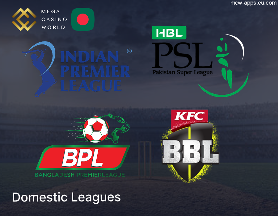 Domestic Sports Leagues Available at MCW